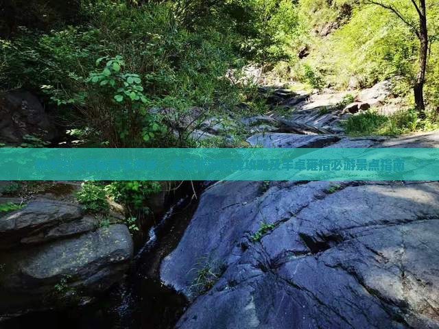 郑州出发探秘藏羊故乡：卓雍旅游路线攻略及羊卓雍措必游景点指南