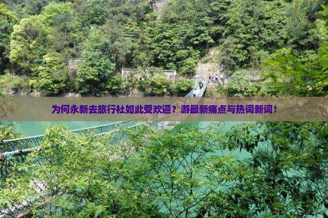 为何永新去旅行社如此受欢迎？游最新痛点与热词新词！