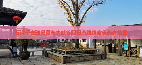 石河子去雅鲁藏布大峡谷四日游路线全长多少公里