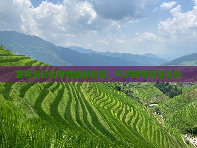 宜宾旅行社专业旅游线路，布达拉宫探险之旅
