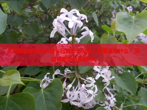 从德阳出发去纳木措七日游怎么安排？需要准备什么？沿途有哪些必看景点？