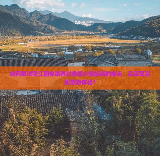 如何解决阳江团体游客对鲁朗小镇旅游的痛点，实现高品质旅游体验？