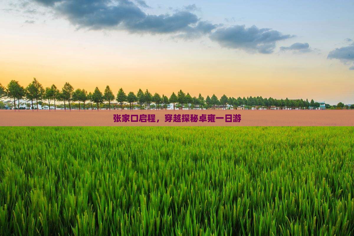 张家口启程，穿越探秘卓雍一日游