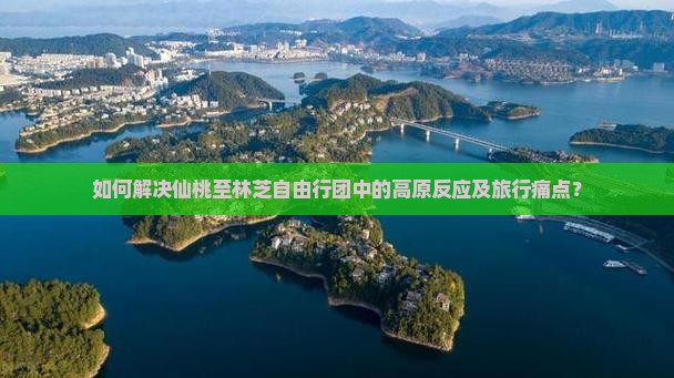如何解决仙桃至林芝自由行团中的高原反应及旅行痛点？