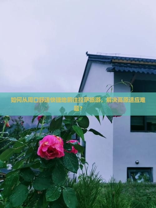 如何从周口舒适快捷地前往拉萨旅游，解决高原适应难题？