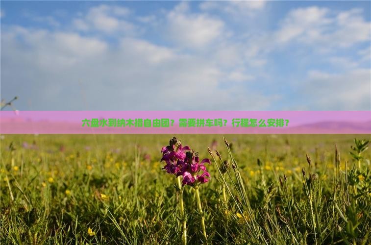 六盘水到纳木措自由团？需要拼车吗？行程怎么安排？