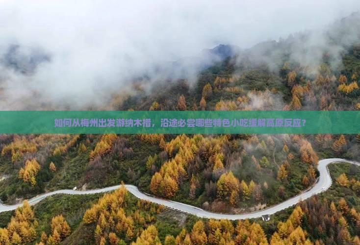 如何从梅州出发游纳木措，沿途必尝哪些特色小吃缓解高原反应？