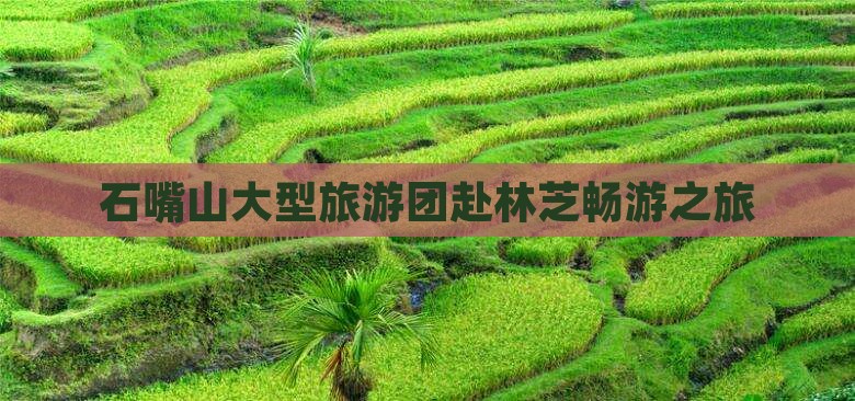 石嘴山大型旅游团赴林芝畅游之旅