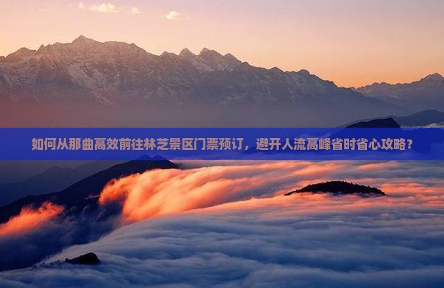 如何从那曲高效前往林芝景区门票预订，避开人流高峰省时省心攻略？