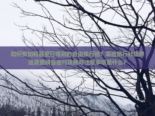 如何参加和县至日喀则的自由旅行团？哪些旅行社提供这条路峡自由行攻略与注意事项是什么？