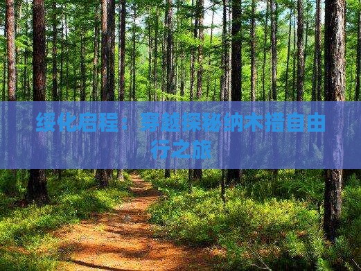 绥化启程：穿越探秘纳木措自由行之旅