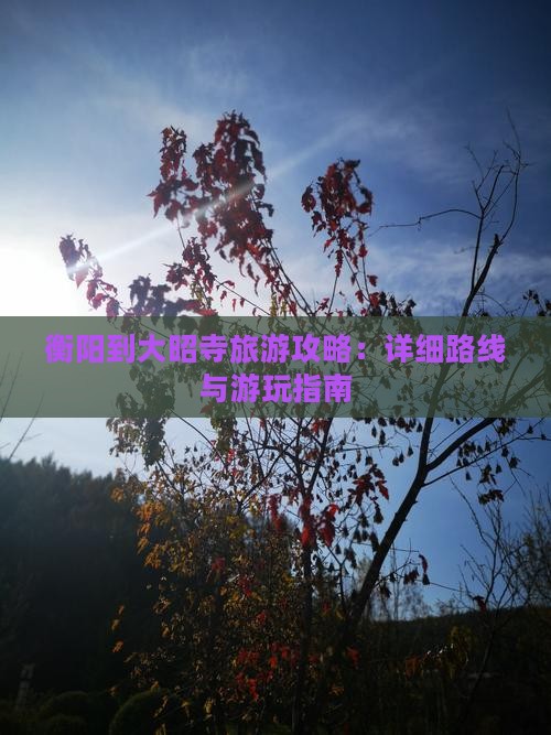 衡阳到大昭寺旅游攻略：详细路线与游玩指南