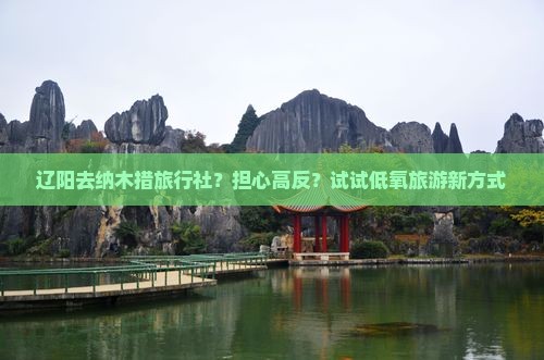 辽阳去纳木措旅行社？担心高反？试试低氧旅游新方式