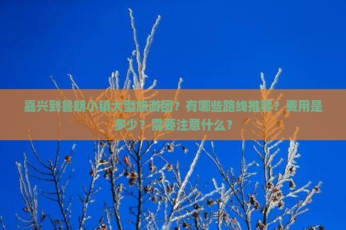 嘉兴到鲁朗小镇大型旅游团?有哪些路线推荐?费用是多少?需要注意什么? 嘉兴到鲁朗小镇大型旅游团?有哪些路线推荐?费用是多少?需要注意什么?