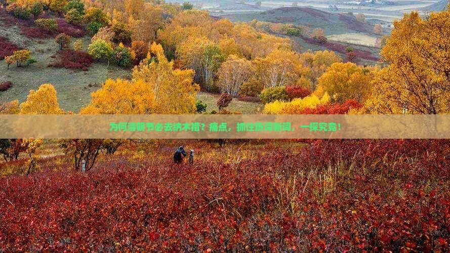 为何清明节必去纳木措？痛点，抓住热词新词，一探究竟！