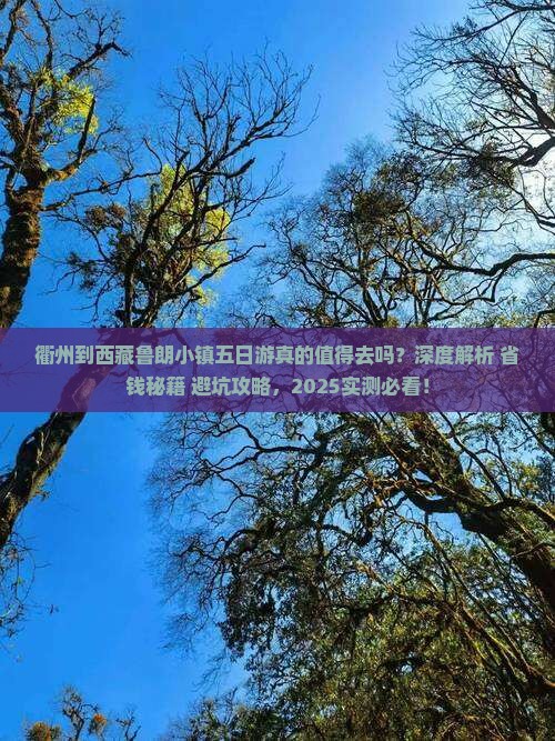 衢州到西藏鲁朗小镇五日游