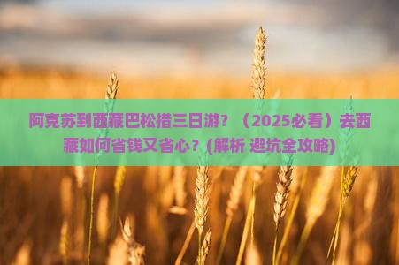 阿克苏去西藏巴松措三日游