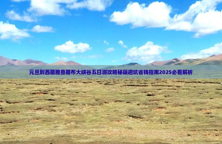 元旦到西藏雅鲁藏布大峡谷五日游