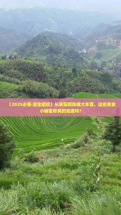 襄阳去西藏珠峰大本营旅游小吃 襄阳去西藏珠峰大本营旅游小吃