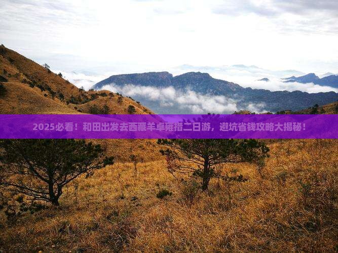 和田去西藏羊卓雍措二日游