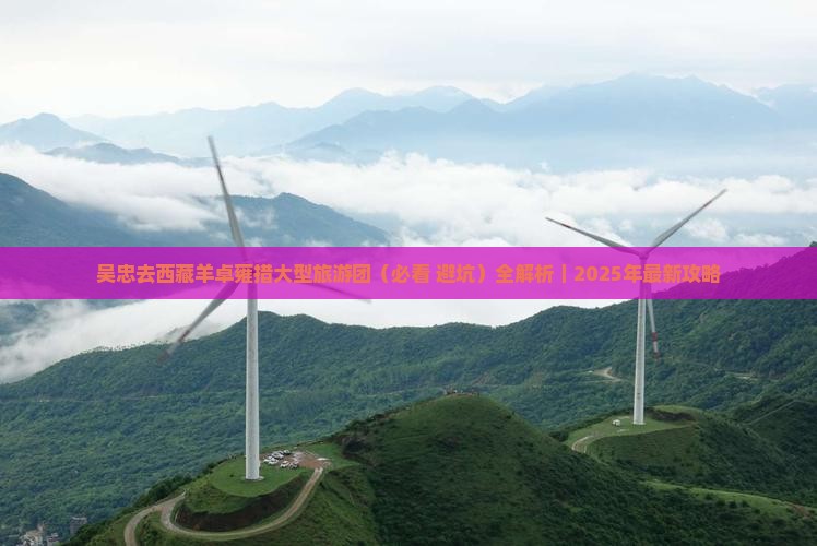 吴忠去西藏羊卓雍措大型旅游团