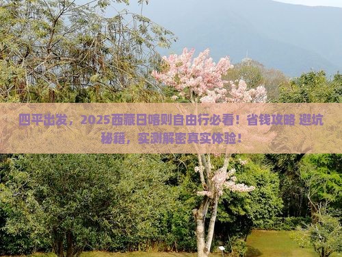 四平去西藏日喀则自由行