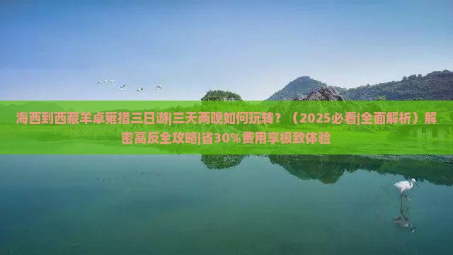 海西到西藏羊卓雍措三日游