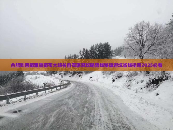 合肥到西藏雅鲁藏布大峡谷一日