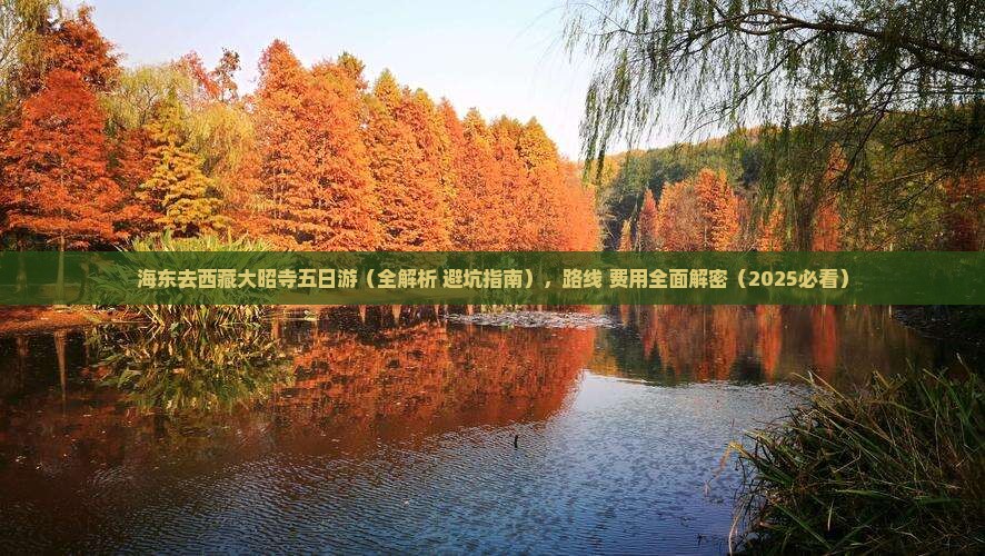 海东去西藏大昭寺五日游