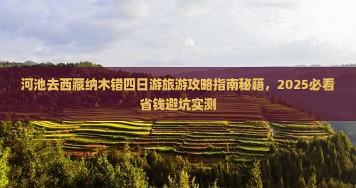 河池去西藏纳木措四日游