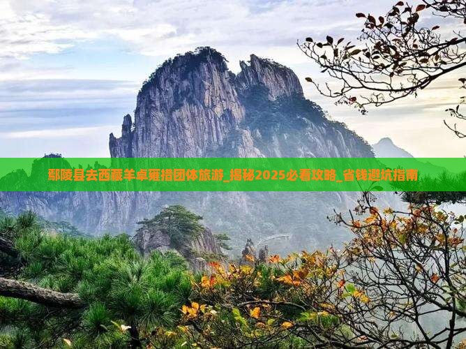 鄢陵县去西藏羊卓雍措团体旅游
