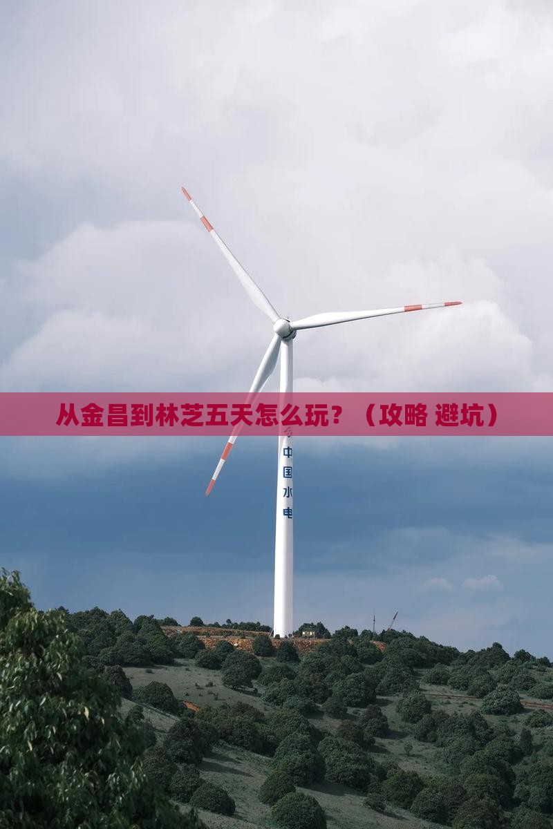金昌去西藏林芝五日游