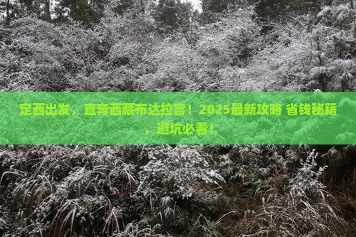 定西到西藏布达拉宫景点