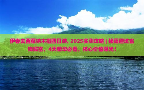 伊春去西藏纳木措四日游