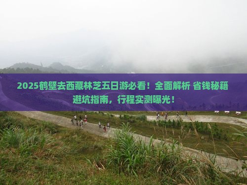 鹤壁去西藏林芝五日游