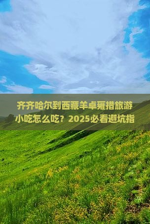 齐齐哈尔到西藏羊卓雍措旅游小吃