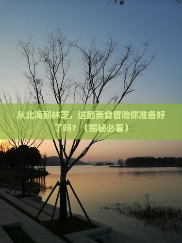 北海去西藏林芝旅游小吃
