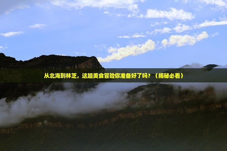 北海去西藏林芝旅游小吃