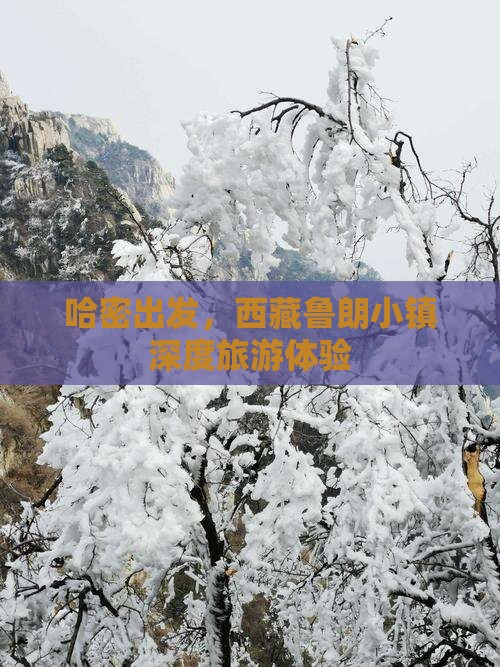 哈密到西藏鲁朗小镇大型旅游团