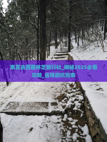 南昌去西藏林芝旅行社