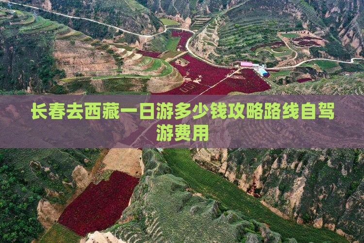 长春去西藏一日