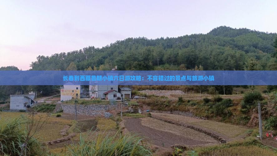 长春到西藏鲁朗小镇六日游