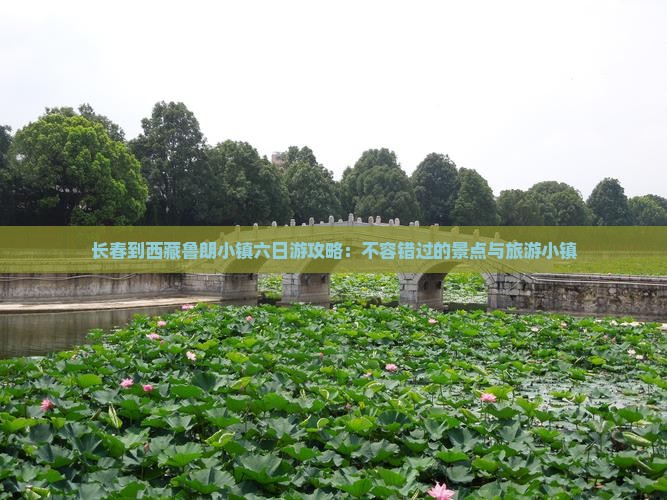 长春到西藏鲁朗小镇六日游