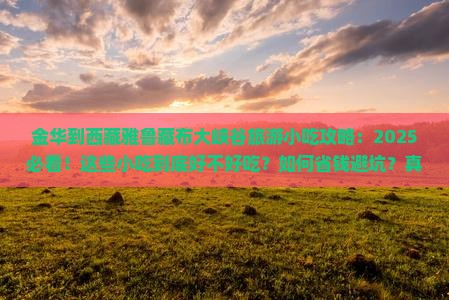 金华到西藏雅鲁藏布大峡谷旅游小吃