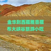 金华到西藏雅鲁藏布大峡谷旅游小吃