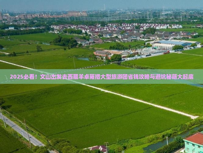 文山去西藏羊卓雍措大型旅游团