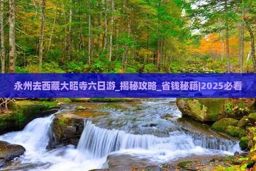 永州去西藏大昭寺六日游