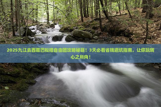 九江去西藏巴松措自由团