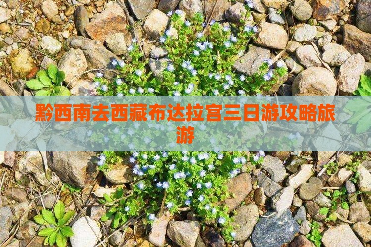 黔西南去西藏布达拉宫三日游