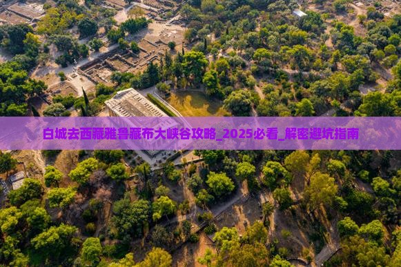 白城去西藏雅鲁藏布大峡谷攻略